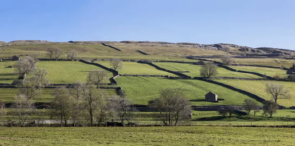 Fields Barn Dry Stone Walls Conistone Wharfedale North Yorkshire — Stock Photo, Image