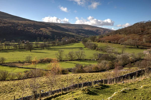 Langstrothdale Wharfedale Hacia Hubberholme Birks Fell Cabeza Caballo Día Soleado —  Fotos de Stock