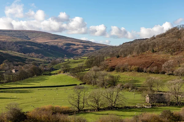 Langstrothdale Wharfedale Hacia Hubberholme Birks Fell Cabeza Caballo Día Soleado —  Fotos de Stock