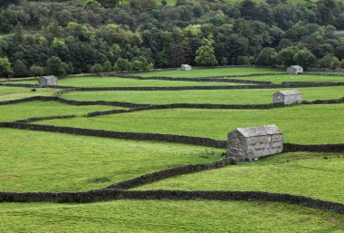 Gunnerside Meadows clipart