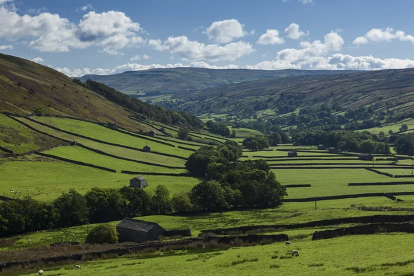 Abbotside Common — Stock Photo, Image