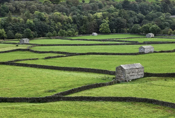 Gunnerside Meadows — Stock Photo, Image