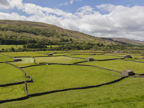 Stone barns, Gunnerside — Stock Photo, Image