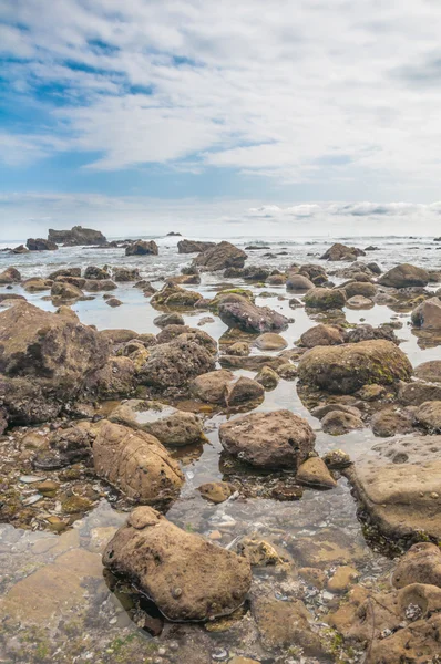 Beach Shore — Stock Photo, Image