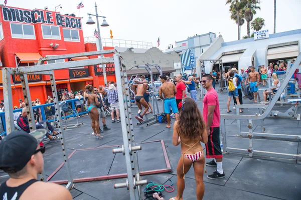 Musclebeach Royaltyfria Stockbilder