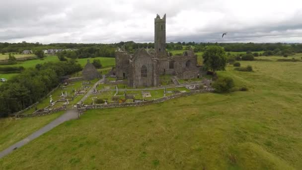 Quin Abbey Ireland — Stock Video