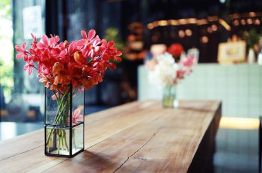 Vazodaki pembe çiçek arka plan için bir kafede duruyor.