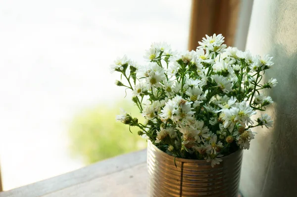 Krásné Květiny Domácí Rostliny Parapetu Krásné Květiny Váze Stole — Stock fotografie
