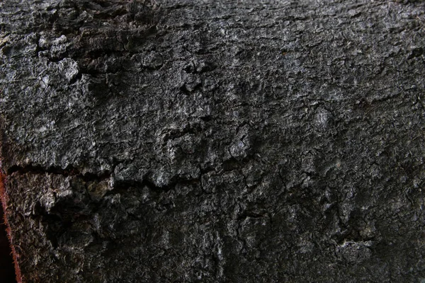 Ağaç Kabuğu Dokusunun Eski Doğal Ahşap Döküntüsü Doğal Arka Plan — Stok fotoğraf