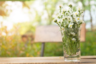 Bokeh Ormanı 'nın arka plan bulanıklığı. bahçe ve park güneş ışığıyla, arka plan için kullan 