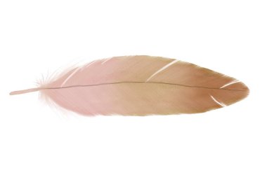 El çizimi tüy çizimi. Yumuşak tüyler. Düğün davetiyesi için. Kırsal tüyler parlak renkler. arkaplan