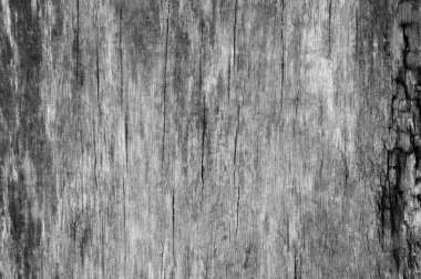 Doğal desenli beyaz ahşap doku, ahşap arka plan..