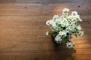 Güzel çiçekler ve pencere kenarındaki bitkiler Vazodaki güzel çiçekler 