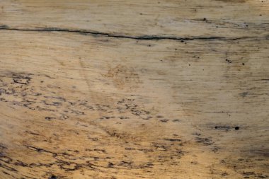 ahşap duvar dokusu masa dekoru