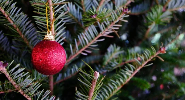 Noel Ağacı Arka Planının Soyut Bulanıklığı Yeni Yıl Kutlaması Sancak — Stok fotoğraf