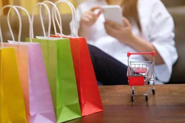 Woman and Small shopping cart with Laptop for Internet online shopping concept