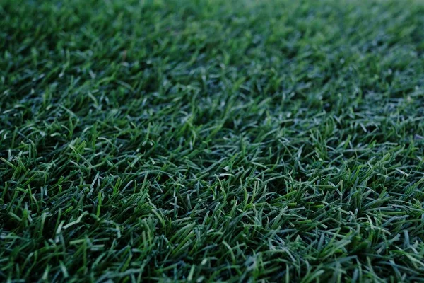 新鮮な緑の芝生の草のテクスチャのフィールド自然な背景 — ストック写真