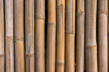 Doğal desenli bambu çit dokusu.