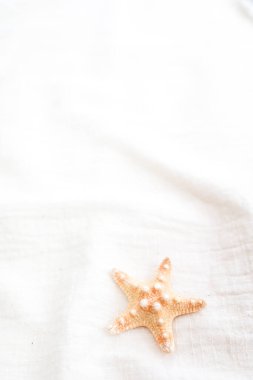 Yaz tatilinin arka planı Sahilde dinlenmeye hazır, kopya alanı için tasarım,