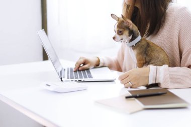 Coronavirus. Köpekle birlikte evden çalışan iş kadını COVID-19 Coronavirus salgınını karantina altına aldı.