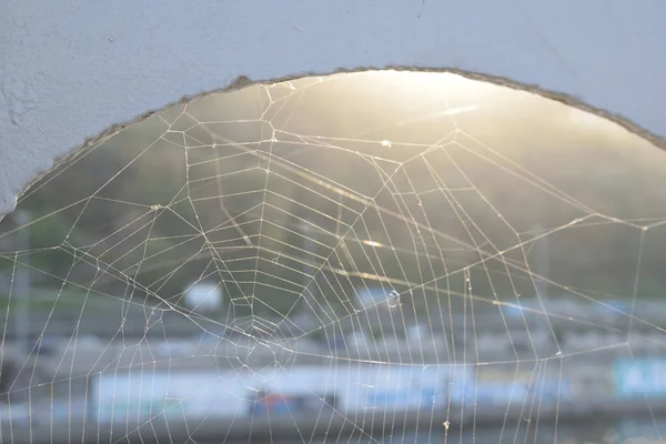 Web Rayos Puesta Del Sol Con Colina Verde Fondo — Foto de Stock