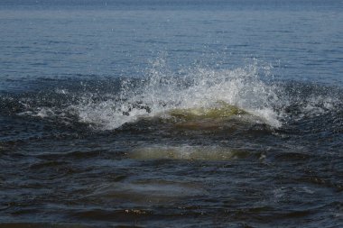 Nehir kıyısında su sıçradı.
