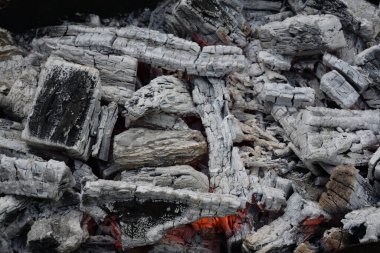 Soyu tükenmiş bir kamp ateşinde külle kaplanmış kömürler.