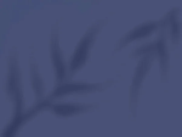 Тень Листьев Синем Фоне Абстрактная Высокое Качество Фото — стоковое фото