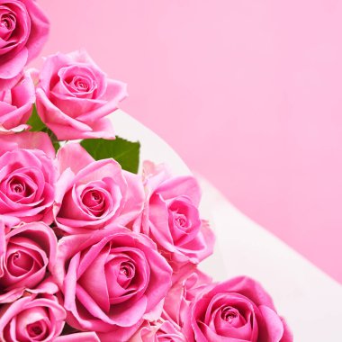 Fotokopi alanı olan güzel pembe güllerin arka planı. Yüksek kalite fotoğraf