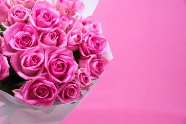 Fotokopi alanı olan güzel pembe güllerin arka planı. Yüksek kalite fotoğraf