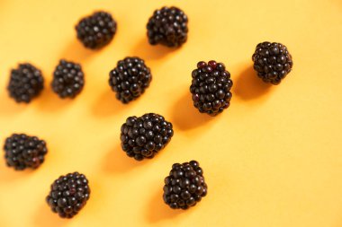 Sarı arka planda böğürtlen