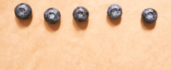 Five blueberries on a beige craft paper background, banner with copy space