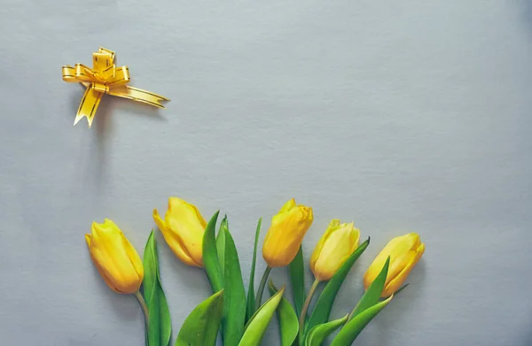 Cinco tulipas amarelas em fundo cinza prata com uma fita amarela e espaço de cópia — Fotografia de Stock