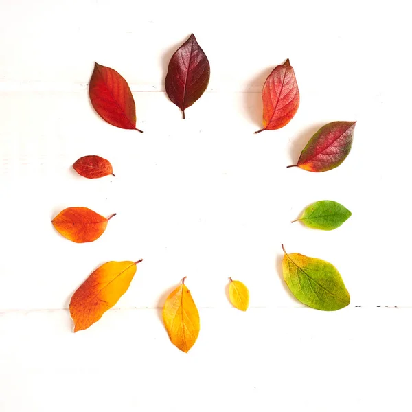Círculo de folhas coloridas do outono, quadro do gradiente para o projeto em uma madeira branca — Fotografia de Stock