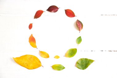 Renkli sonbahar yaprakları dairesi, beyaz bir ahşap üzerinde dizayn için eğimli çerçeve