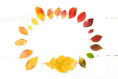 Renkli sonbahar yapraklarının oval şekli, beyaz bir ahşap üzerinde tasarım için eğimli çerçeve
