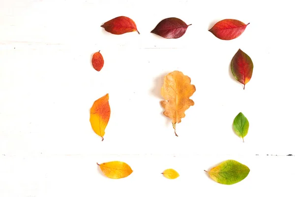 Vierkant van kleurrijke herfstbladeren, gradiënt frame voor ontwerp op een wit hout — Stockfoto