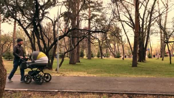 Slow-motion video of father walking with newborn baby in stroller in the evening — Stock Video