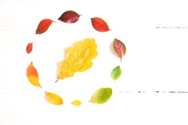 Renkli sonbahar yaprakları dairesi, beyaz bir ahşap üzerinde dizayn için eğimli çerçeve