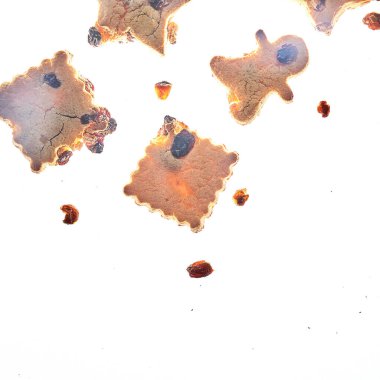 Farklı şekillerde kurabiyeler, glütensiz, sağlıklı tatlı izole edilmiş arka plan.