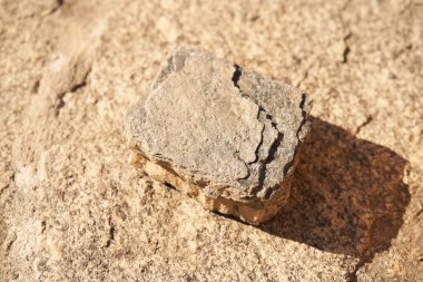 Doğal tasarım konsepti için bej arka planda taş podyum. Merkezi kompozisyon, üst görünüm