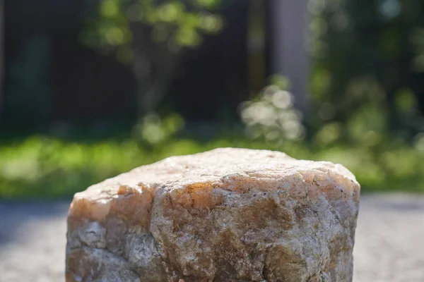 Beige Stone på bakgrunden av gröna växter, pallen för din produkt, strukturerad piedestal — Stockfoto