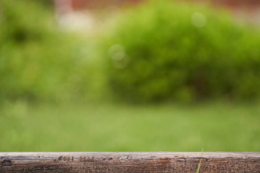 Düzen için yatay şablon, afiş. Yeşil arka planda ahşap kaide. Doğal tasarım konsepti için düz bir dikdörtgen ya da podyum. 