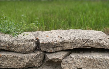 3 boyutlu arka plan ve taş bir podyum. Doğal yeşil arka planda doğal bir kaya kaidesi..