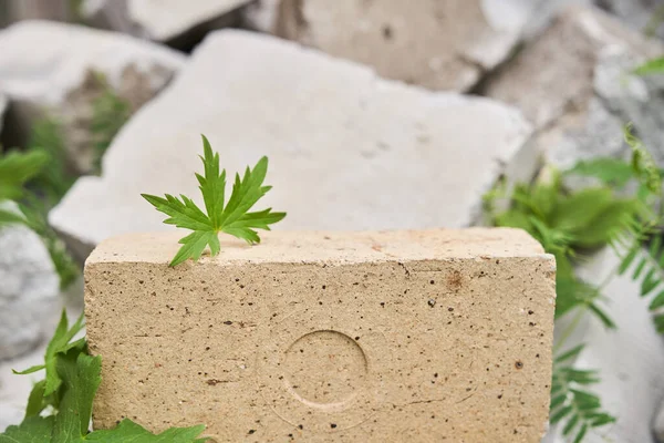 Plataforma de piedra beige sobre un fondo de piedra con una hoja de geranio prado — Foto de Stock