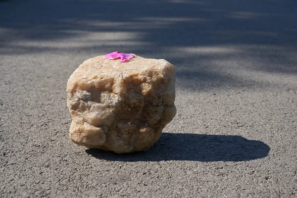 Ett podium gjort av beige sten med rosa blomblad för att demonstrera din produkt på asfalten — Stockfoto