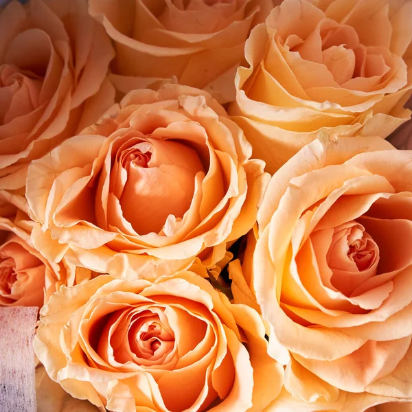 Detailní záběr kytice krásných květin z oranžových růží. Koncept svátku — Stock fotografie