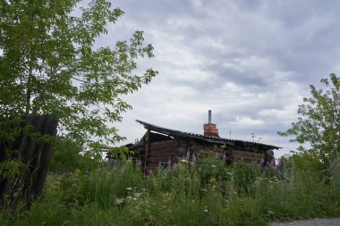 Yeşil ağaçları ve uzun otları olan eski bir ahşap ev. Gökyüzünün arka planında bulutlarla
