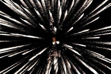 Arka plan bulanık, Gökyüzündeki Havai fişek Fotoğrafı, Yeni Yıl festivali konsepti.        