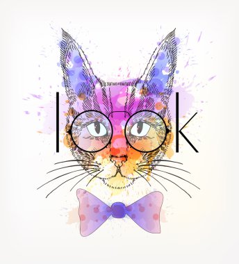 Sulu Boya lekesi ile hipster kedi